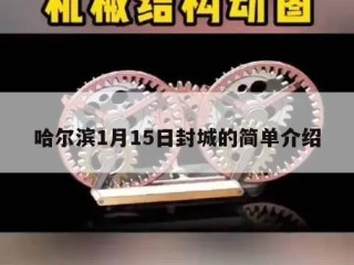 哈尔滨1月15日封城的简单介绍