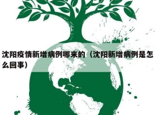沈阳疫情新增病例哪来的（沈阳新增病例是怎么回事）