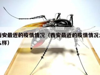 西安最近的疫情情况（西安最近的疫情情况怎么样）