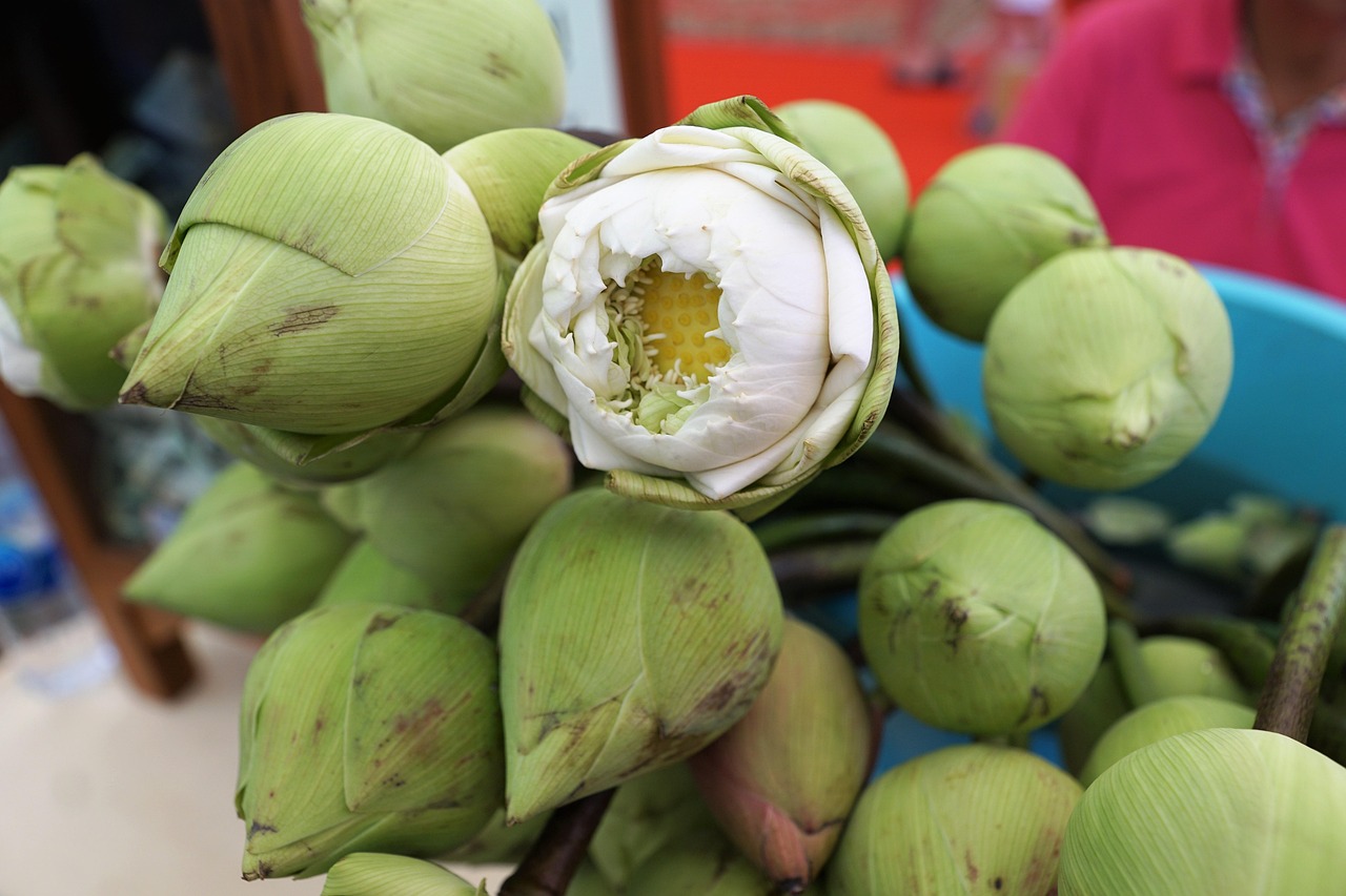 菠菜网最新平台网官方版免费版官方版下载-菠菜网最新平台网官方版_最新版下载v.7.53.90-安卓版
