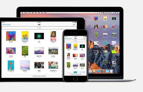 ac米兰官网中心版V85.91.255.180ios版本-好用